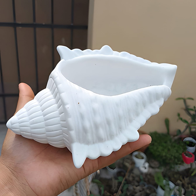 DIY 3D Conch Shaped Silicone C - Potsticker Mold recension och pris